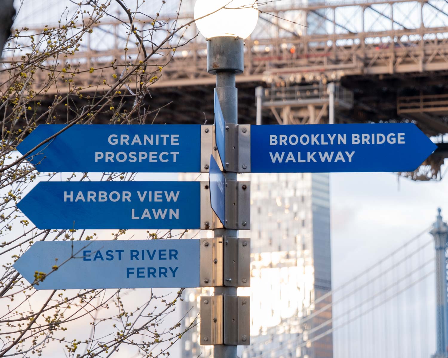 Brooklyn Bridge Park / Gotham