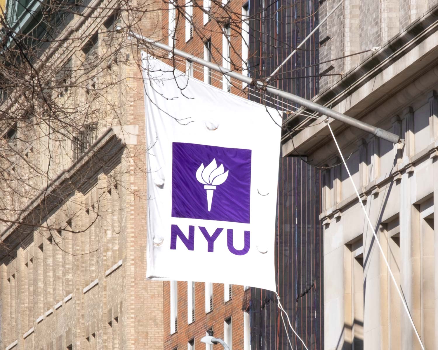 NYU / Gotham